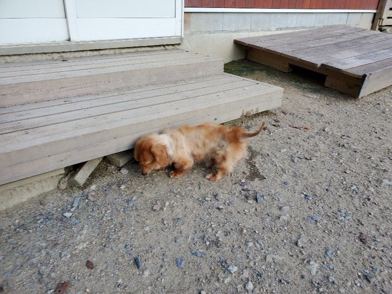 f:id:roukenhome-ann:20190909201819j:plain