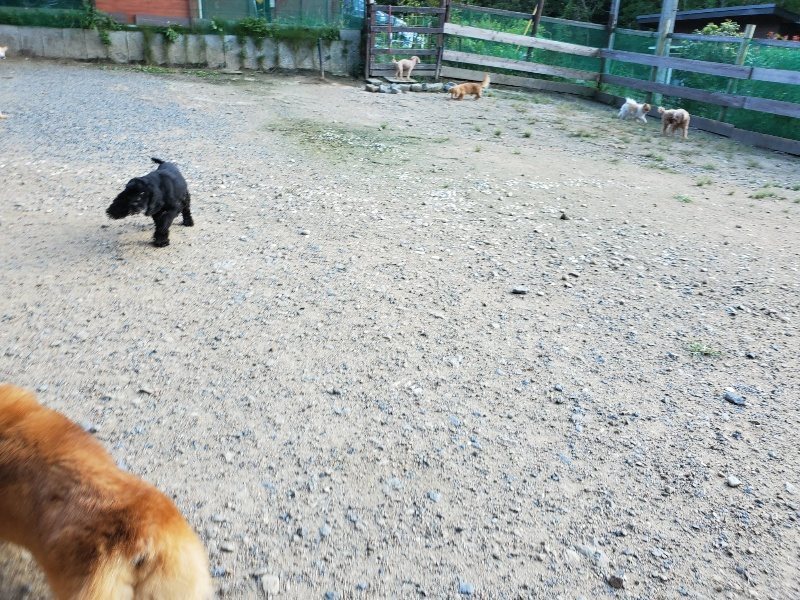 f:id:roukenhome-ann:20190909201826j:plain