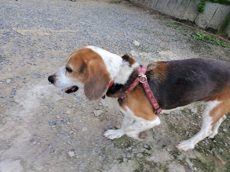 f:id:roukenhome-ann:20190909201926j:plain