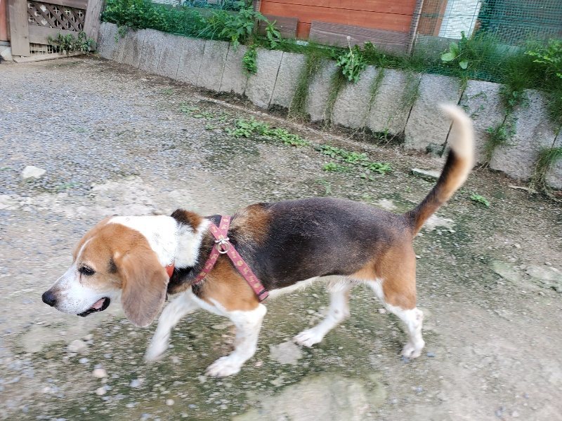 f:id:roukenhome-ann:20190909201934j:plain