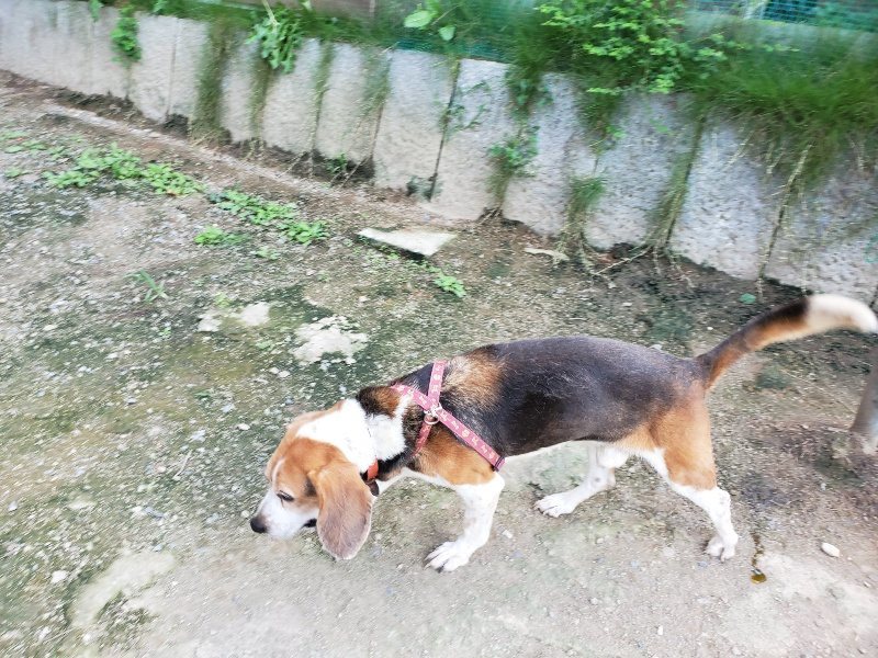 f:id:roukenhome-ann:20190909201952j:plain