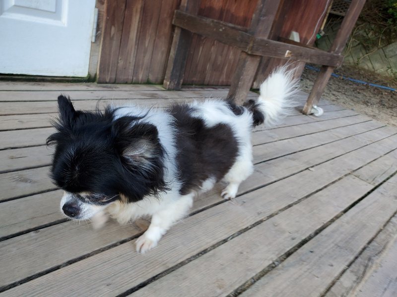 f:id:roukenhome-ann:20190909201959j:plain