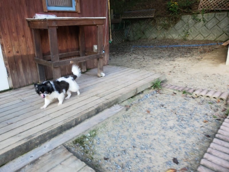 f:id:roukenhome-ann:20190909202038j:plain