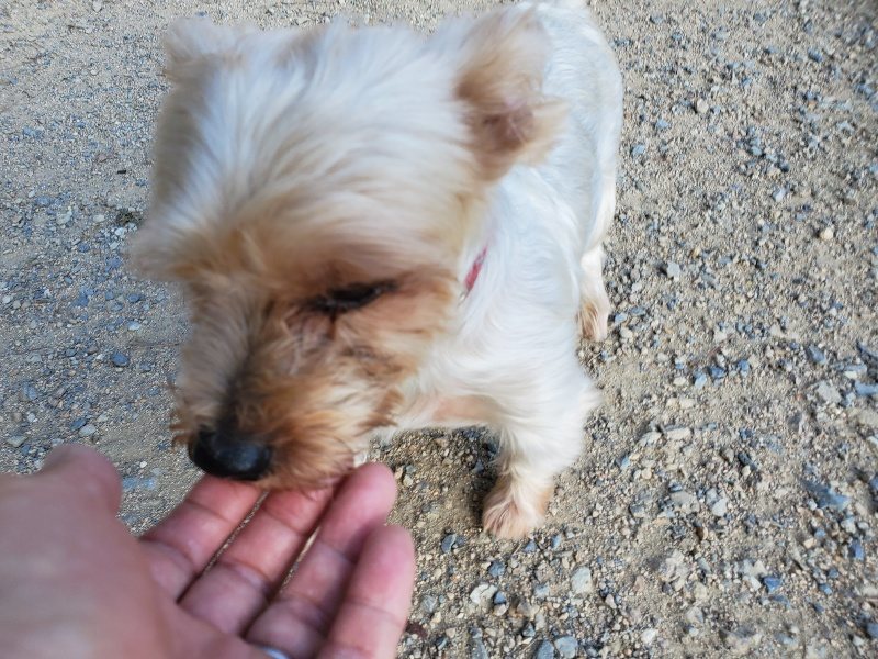 f:id:roukenhome-ann:20190909202049j:plain