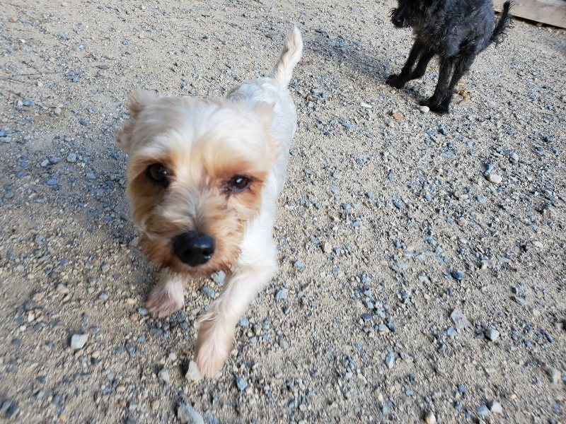 f:id:roukenhome-ann:20190909202102j:plain