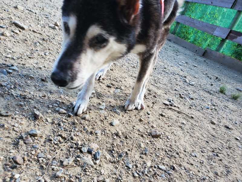 f:id:roukenhome-ann:20190909202118j:plain