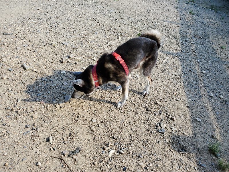 f:id:roukenhome-ann:20190909202127j:plain