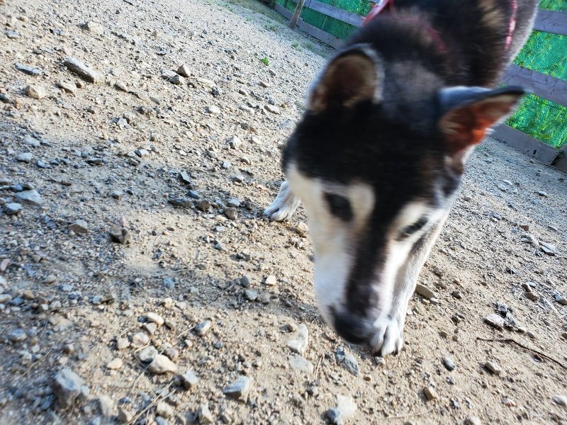 f:id:roukenhome-ann:20190909202136j:plain