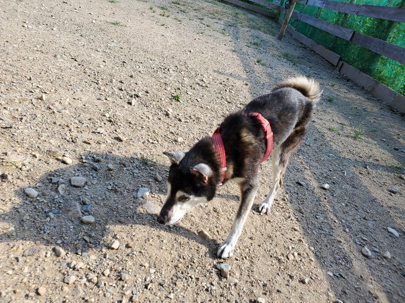 f:id:roukenhome-ann:20190909202147j:plain