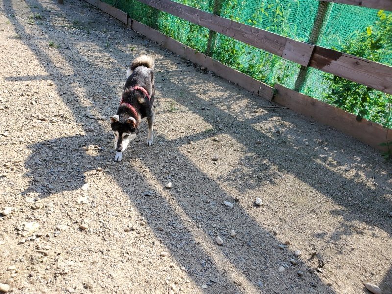 f:id:roukenhome-ann:20190909202202j:plain