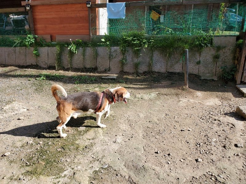 f:id:roukenhome-ann:20190909202234j:plain