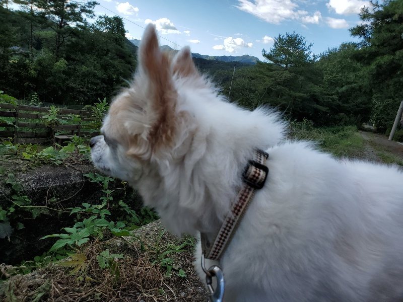 f:id:roukenhome-ann:20190909202242j:plain