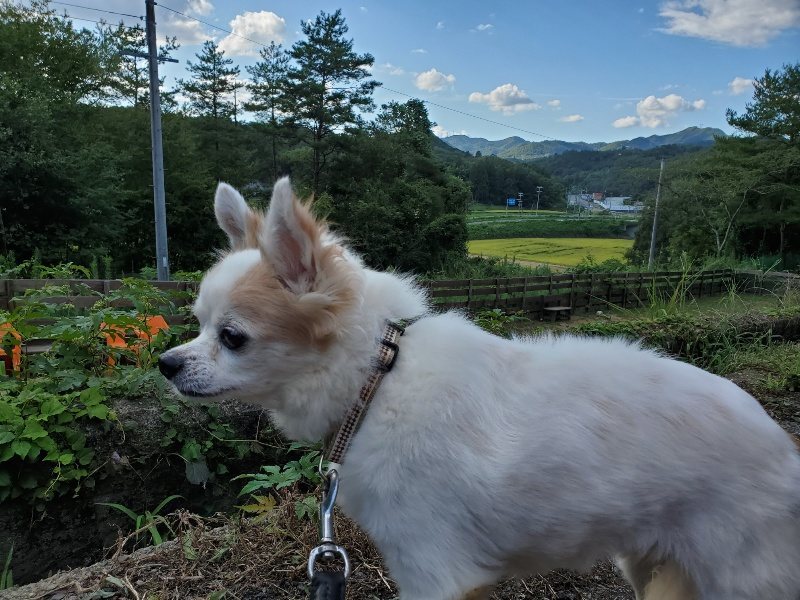 f:id:roukenhome-ann:20190909202248j:plain