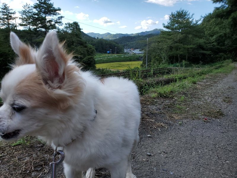 f:id:roukenhome-ann:20190909202304j:plain