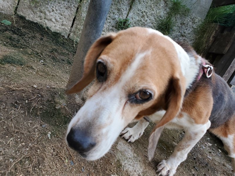 f:id:roukenhome-ann:20190909202554j:plain