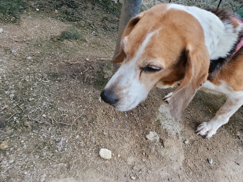 f:id:roukenhome-ann:20190909202602j:plain