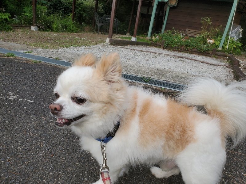 f:id:roukenhome-ann:20190911050107j:plain