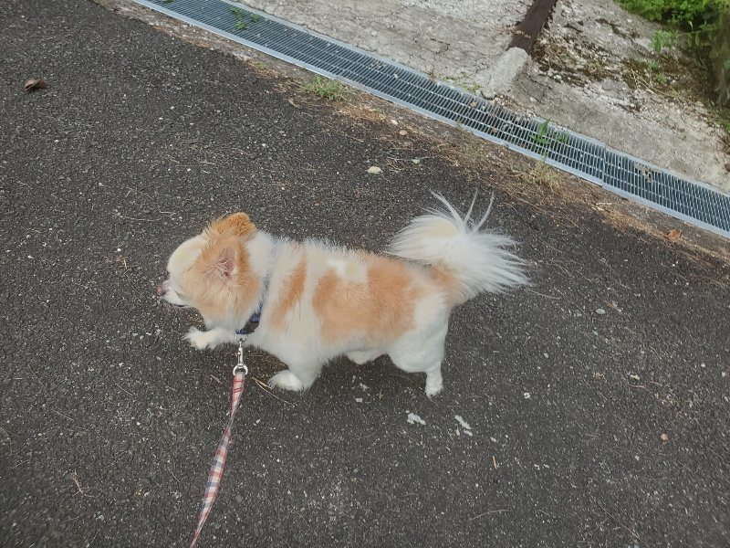 f:id:roukenhome-ann:20190911050112j:plain