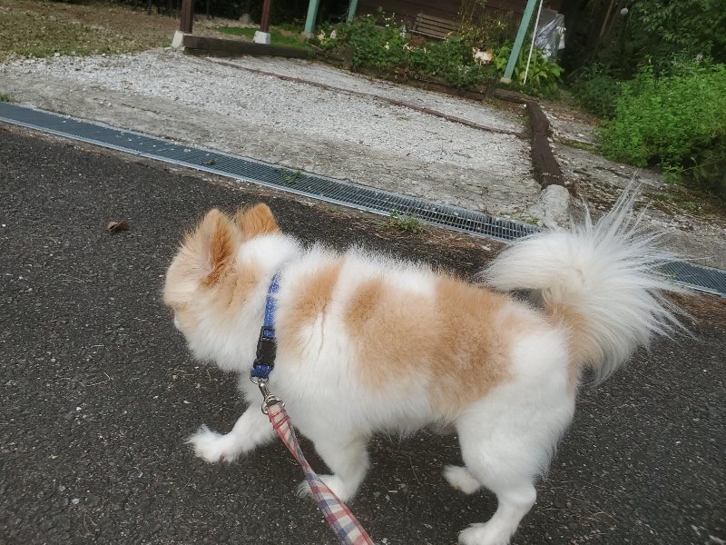 f:id:roukenhome-ann:20190911050118j:plain