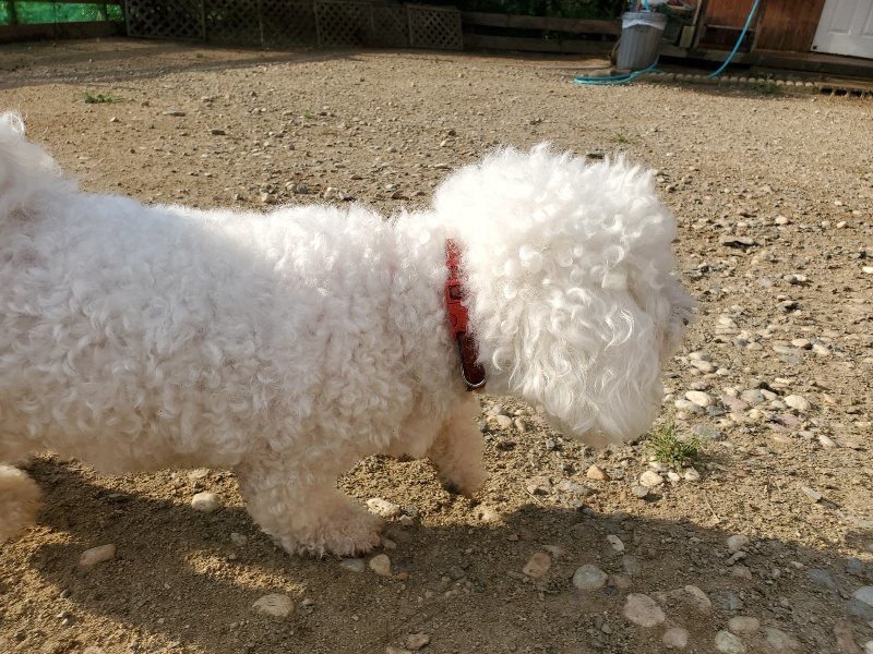 f:id:roukenhome-ann:20190911050127j:plain