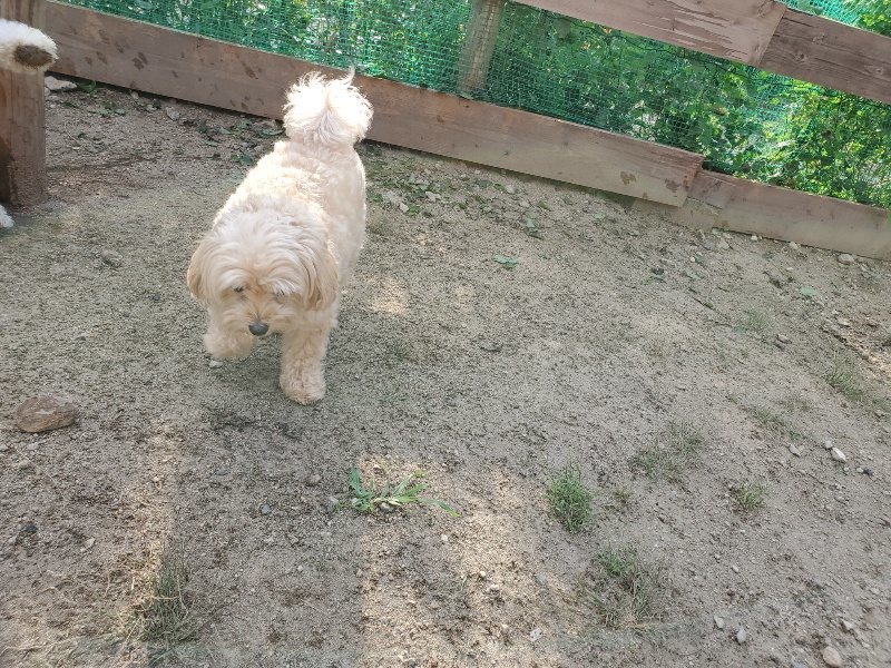 f:id:roukenhome-ann:20190911050206j:plain