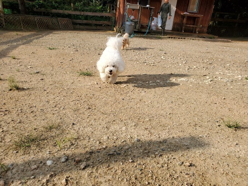 f:id:roukenhome-ann:20190911050239j:plain