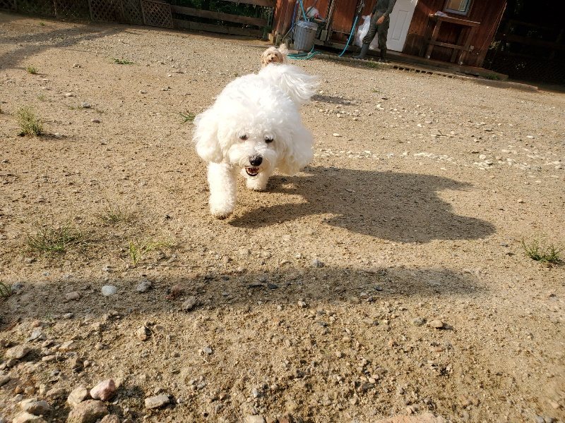 f:id:roukenhome-ann:20190911050255j:plain