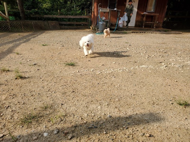 f:id:roukenhome-ann:20190911050301j:plain