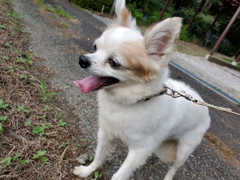 f:id:roukenhome-ann:20190911050329j:plain