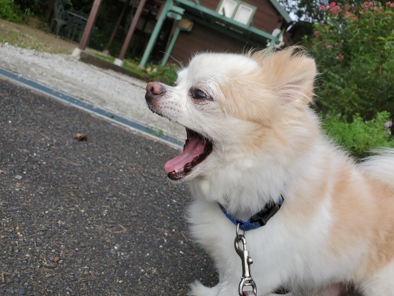 f:id:roukenhome-ann:20190911050340j:plain