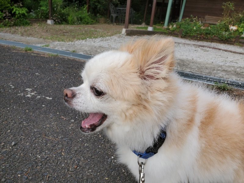 f:id:roukenhome-ann:20190911050351j:plain
