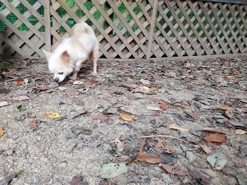 f:id:roukenhome-ann:20190911051630j:plain