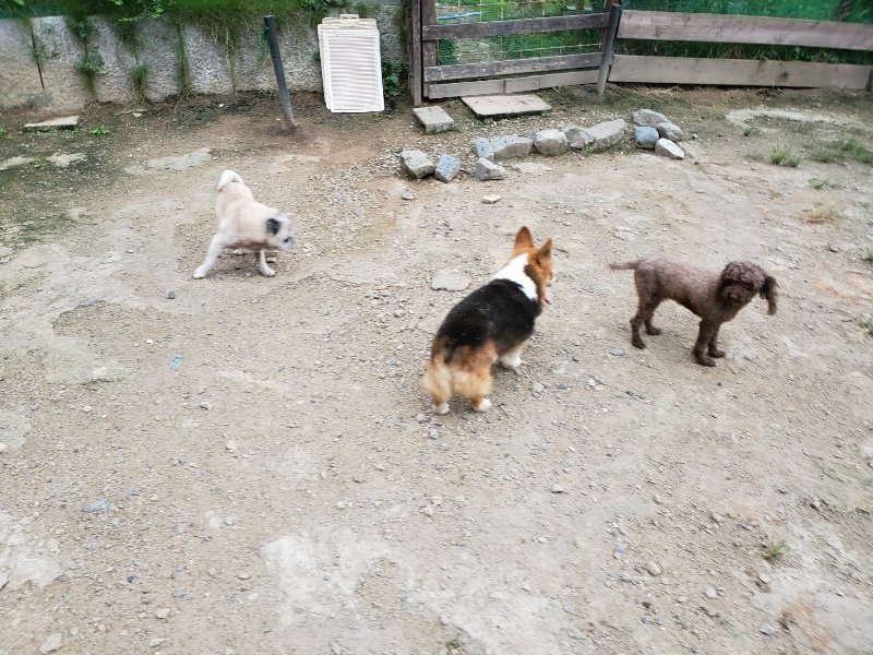 f:id:roukenhome-ann:20190911051649j:plain