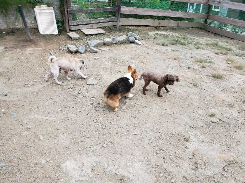 f:id:roukenhome-ann:20190911051747j:plain