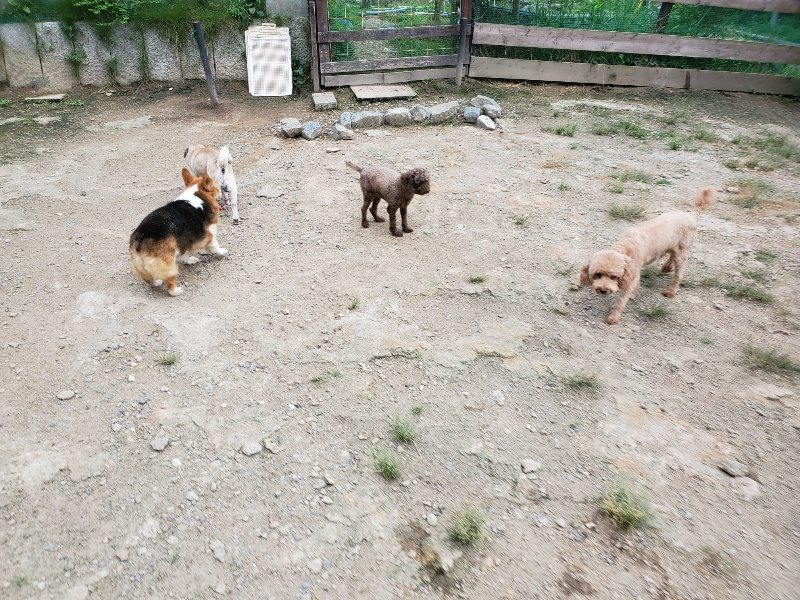 f:id:roukenhome-ann:20190911051754j:plain