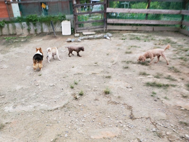 f:id:roukenhome-ann:20190911051759j:plain