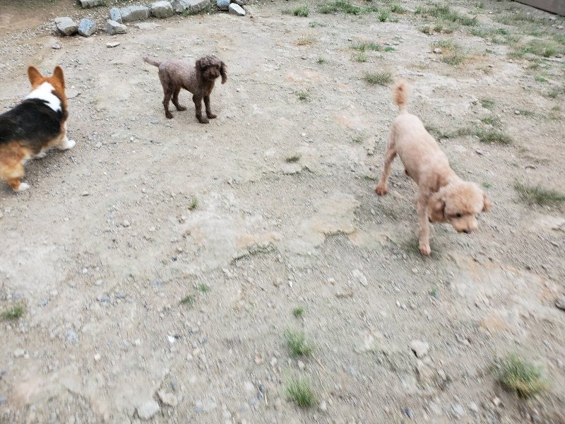 f:id:roukenhome-ann:20190911051806j:plain