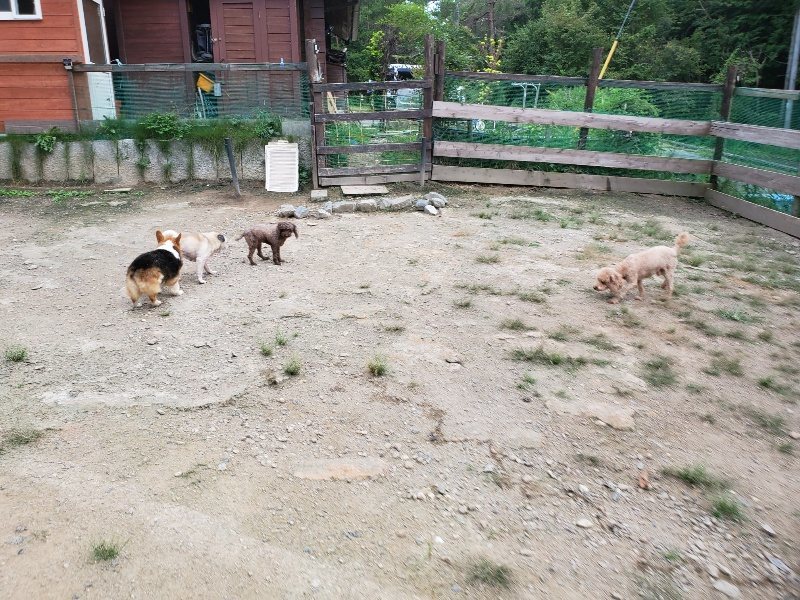 f:id:roukenhome-ann:20190911051831j:plain