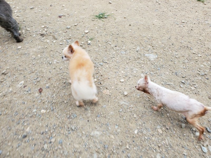 f:id:roukenhome-ann:20190911051915j:plain