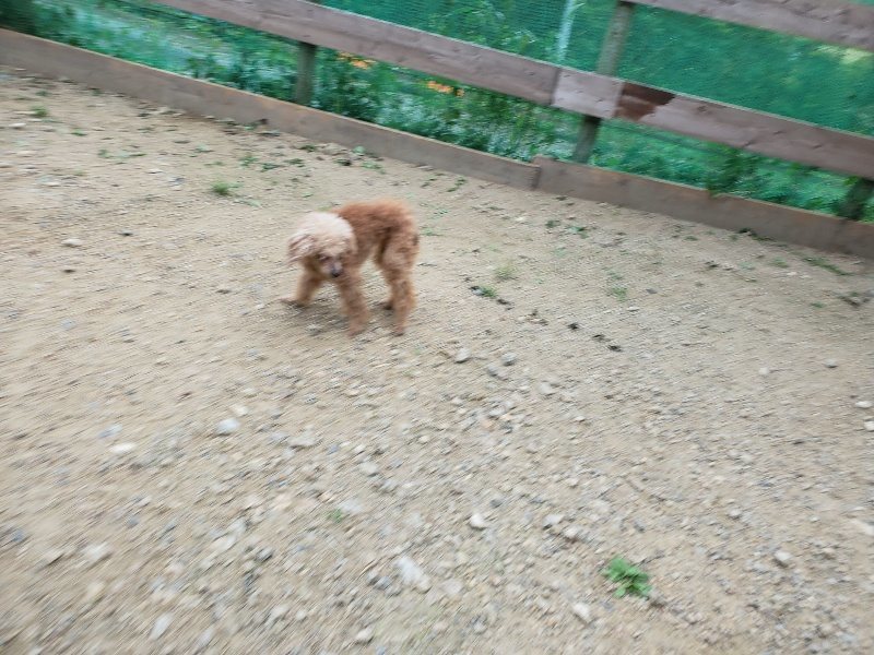 f:id:roukenhome-ann:20190911051927j:plain