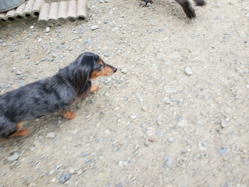 f:id:roukenhome-ann:20190911051938j:plain