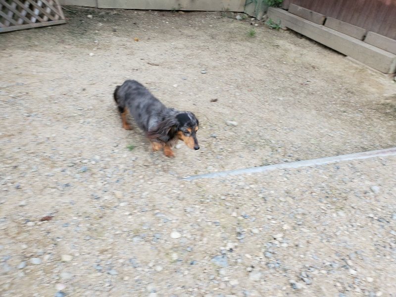 f:id:roukenhome-ann:20190911052001j:plain