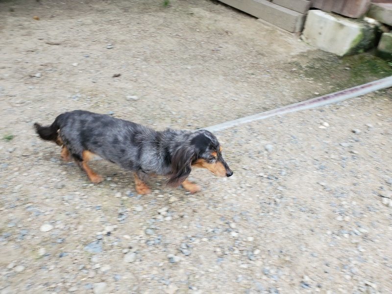 f:id:roukenhome-ann:20190911052011j:plain