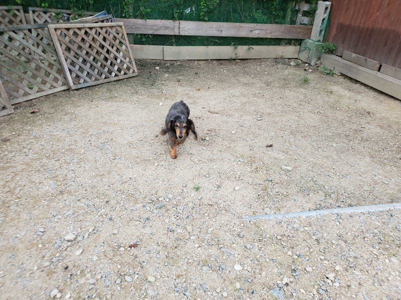 f:id:roukenhome-ann:20190911052024j:plain