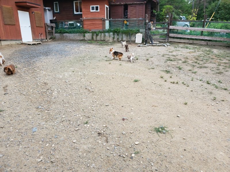 f:id:roukenhome-ann:20190911052039j:plain
