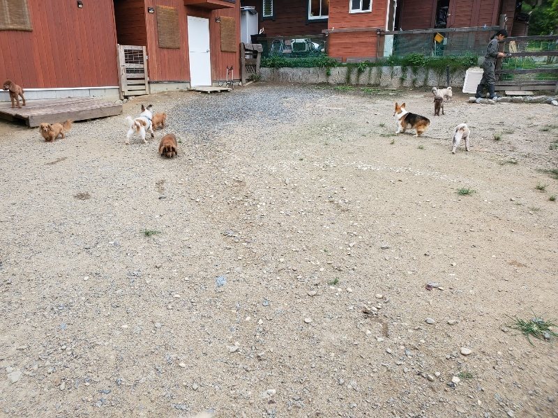f:id:roukenhome-ann:20190911052045j:plain