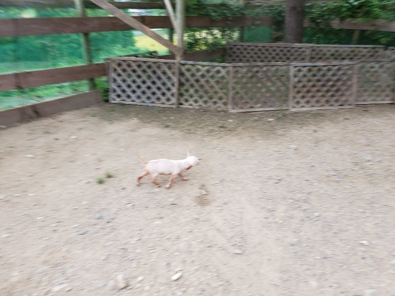f:id:roukenhome-ann:20190911052054j:plain