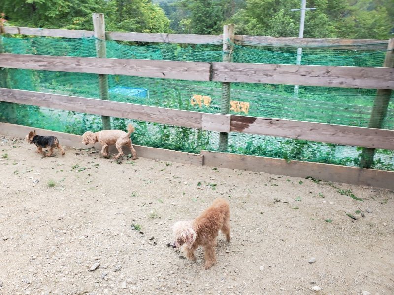 f:id:roukenhome-ann:20190911052106j:plain