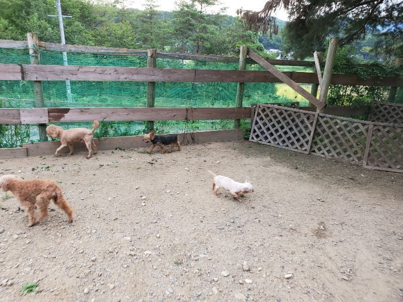 f:id:roukenhome-ann:20190911052129j:plain