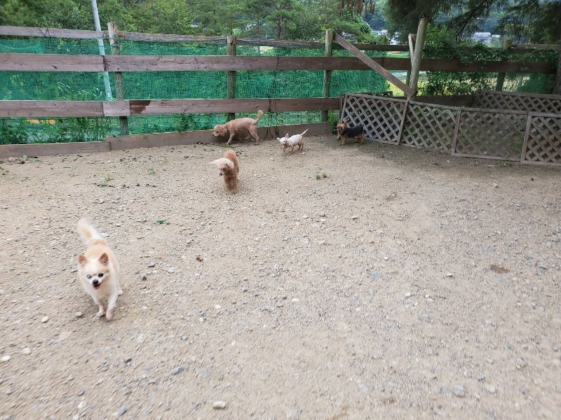 f:id:roukenhome-ann:20190911052136j:plain